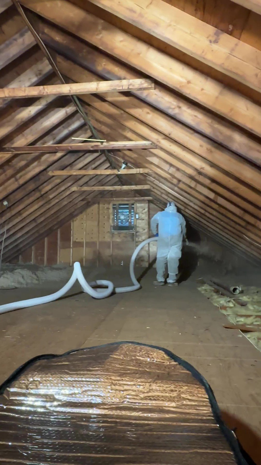 Cellulose New Canaan #2