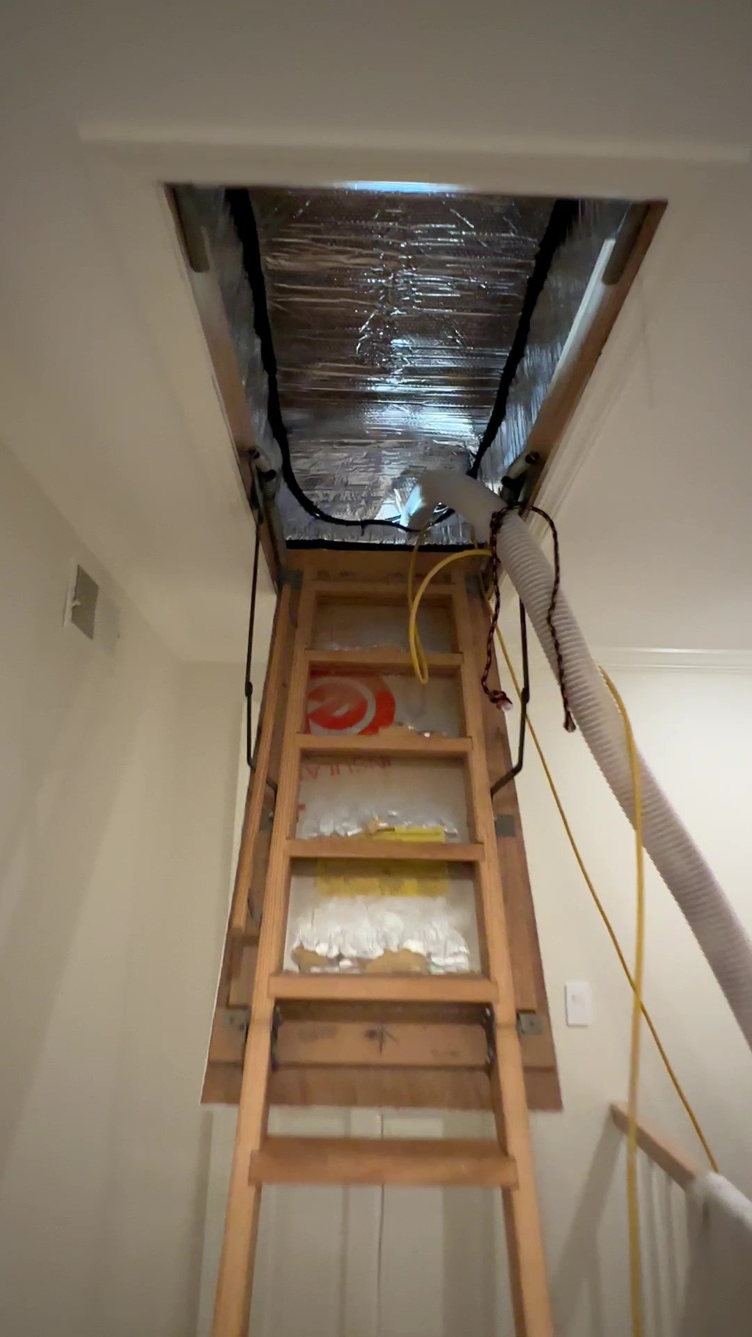 Cellulose New Canaan #4