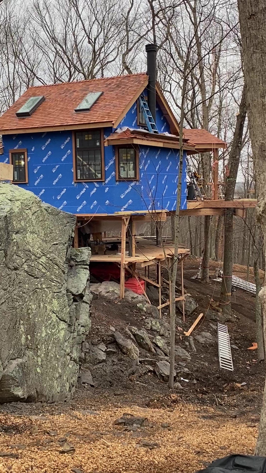 Treehouse 2 - frame at 0m5s