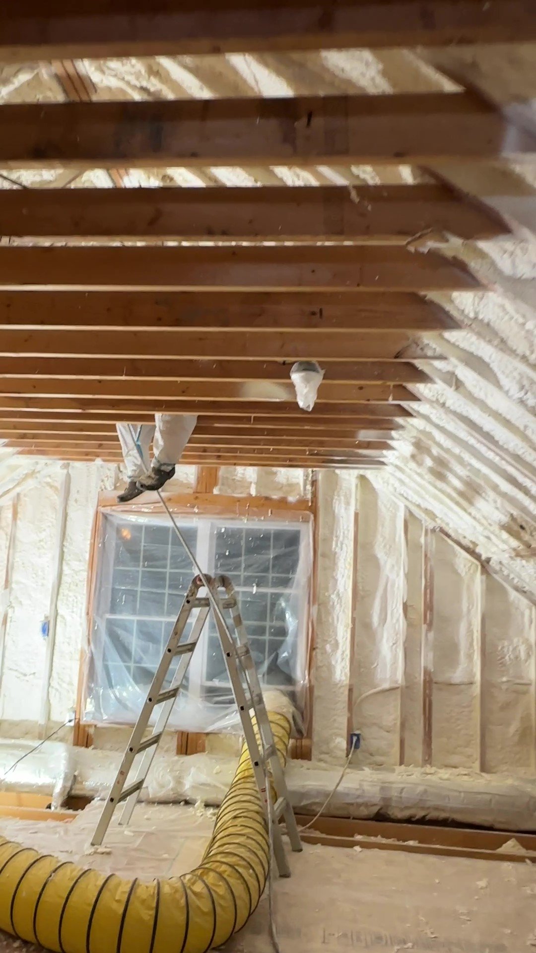 Weston Still Shot #4