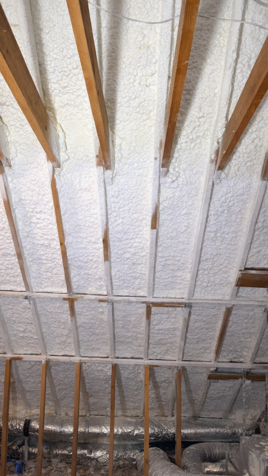 Weston Still Shot #9